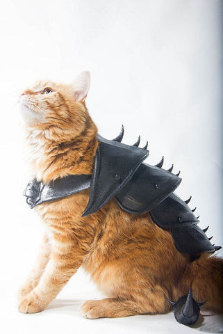 3D Printed Cat Armor