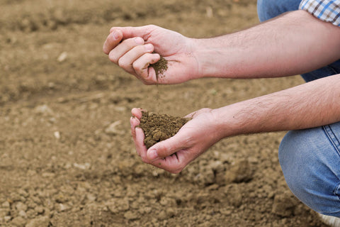 Observing Soil Health