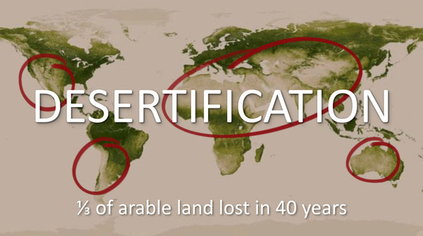 Desertification