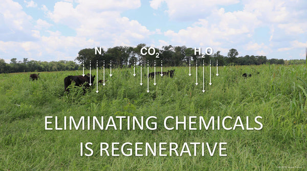 Eliminating Chemicals is Regenerative