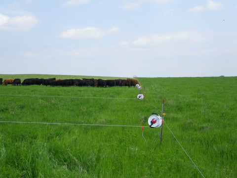 Adaptive High Density Grazing 