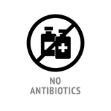 No Antibiotics