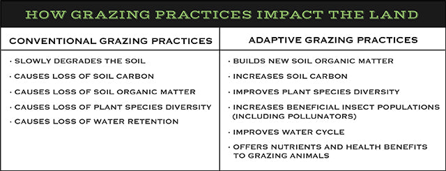 How Different Grazing Methods Impact the Land