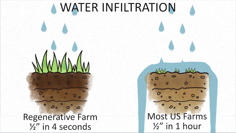 Water Infiltration Rates