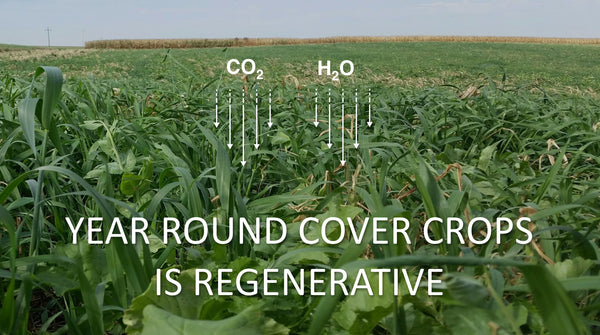 Year Round Cover Crops