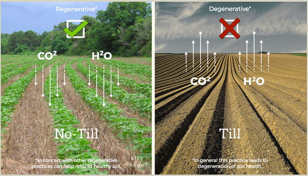 No Till