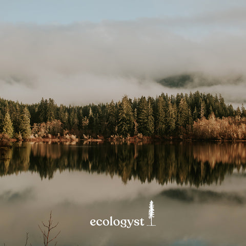ecologyst | Sitka | new name
