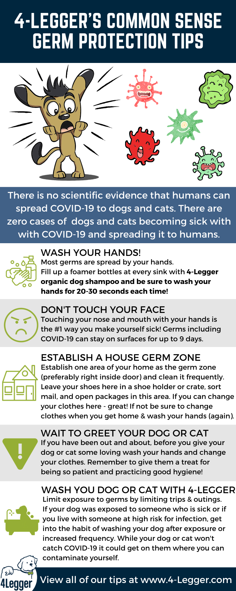 how to protect your dog from COVID-19