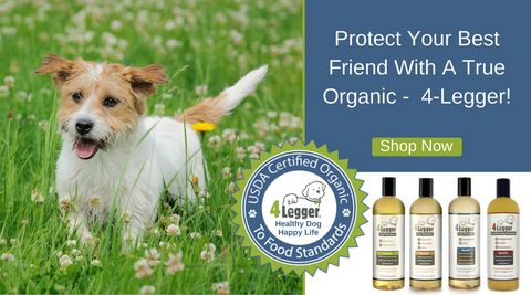 4-Legger Certified Organic Dog Shampoo and Paw Balm