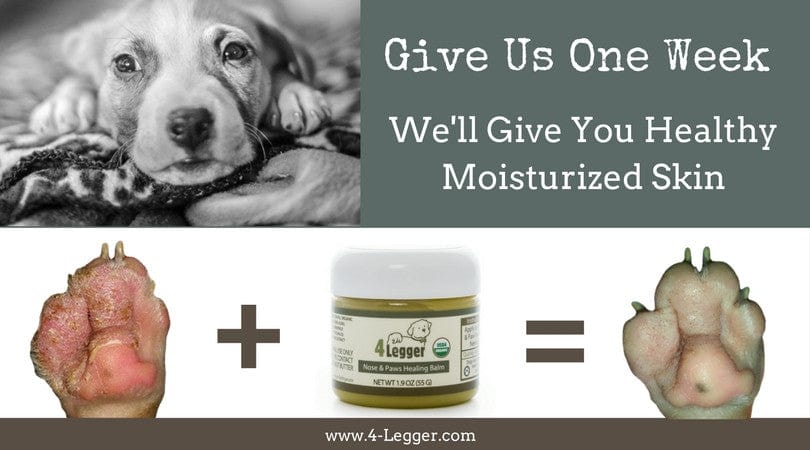 USDA Certified Organic Healing Balm Paw Wax