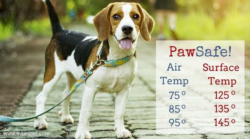 Air and Surface Temperatures - Keeping Your Dog's Paw Safe