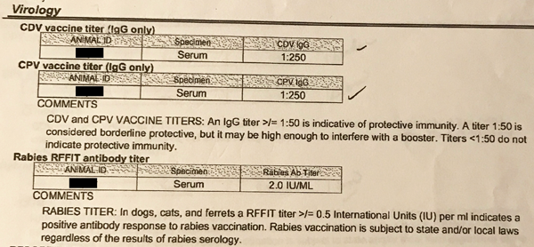 Titer Testing is a Safe and Effective Indicator or Immunity Before Getting Vaccinations
