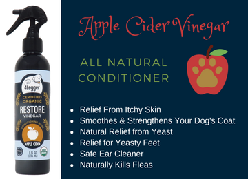 Apple cider vinegar conditioning rinse spray for dogs relief for yeasty skin