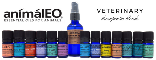 animalEO essential oil blends safe for dogs, cats, and other animals by integrative and holistic veterinarian Dr Melissa Shelton