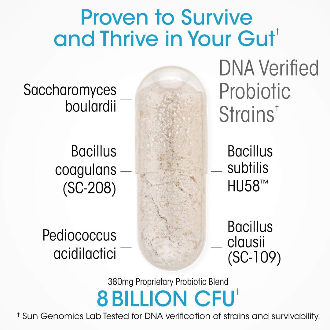 Ultimate Probiotic DNA Verified Strains