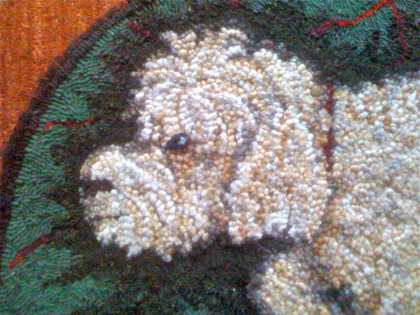 Buster. Close-up of rug by Kathleen Knisely