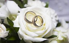 Wedding rings on a white rose