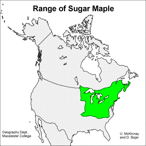 Map of Sugar Maples