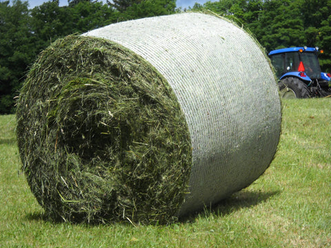 Round bale of hay