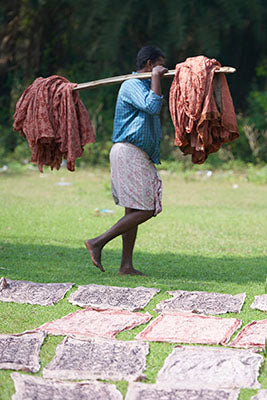 A Kalamkari in the drying field