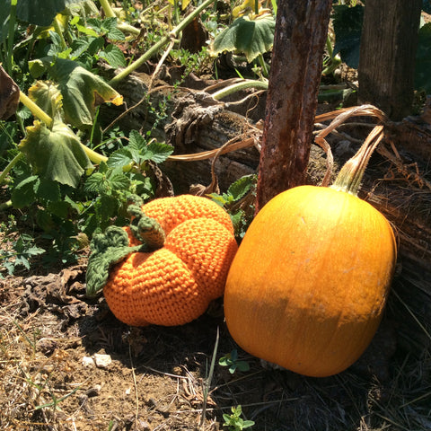 Crochet pumpkin pattern by Cotton Pod