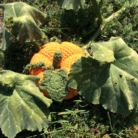 Crochet pumpkin pattern by Cotton Pod