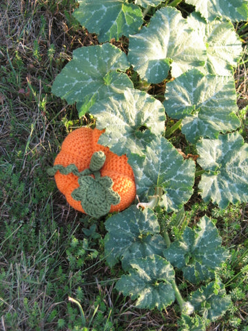 Crochet pumpkin pattern by Cotton Pod