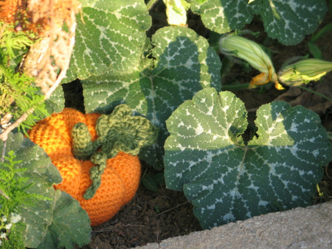 Crochet pumpkin pattern by Cotton Pod