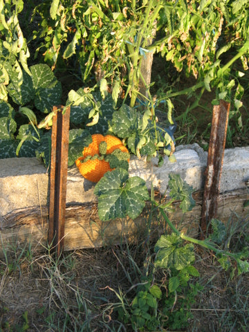 Crochet pumpkin pattern by Cotton Pod