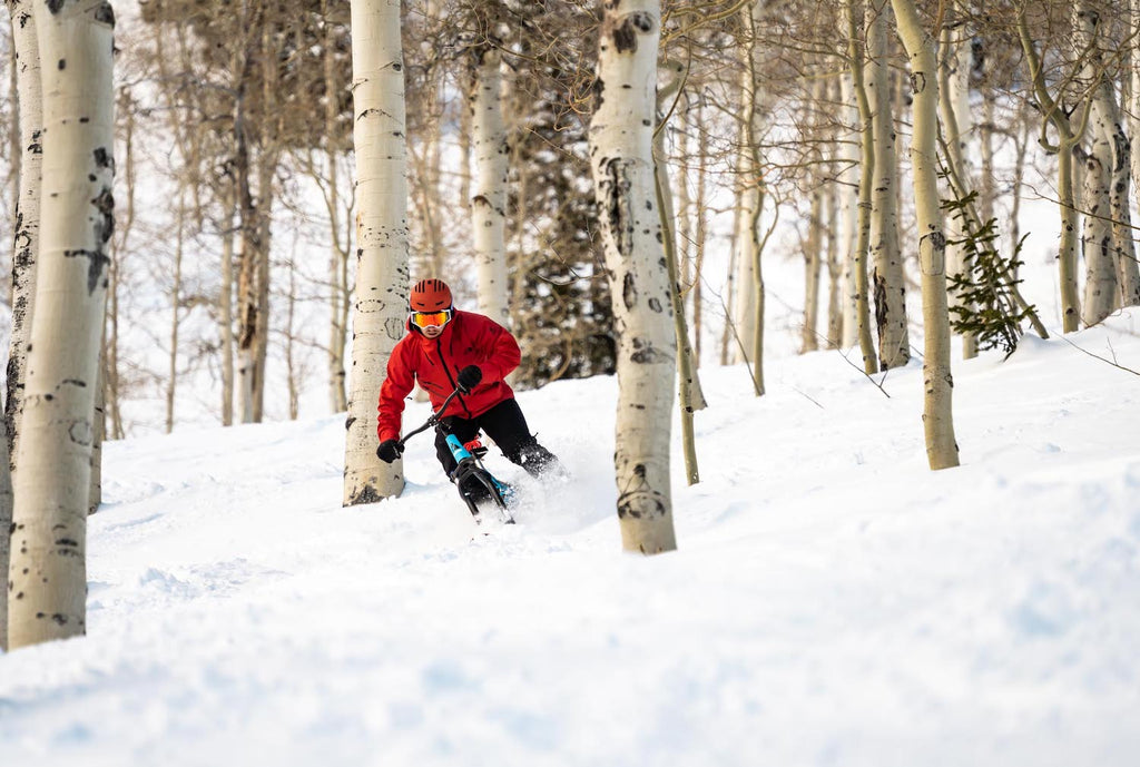 Sno-Go Bikes & Vail Resorts