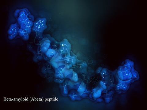 Amyloid Beta Peptide