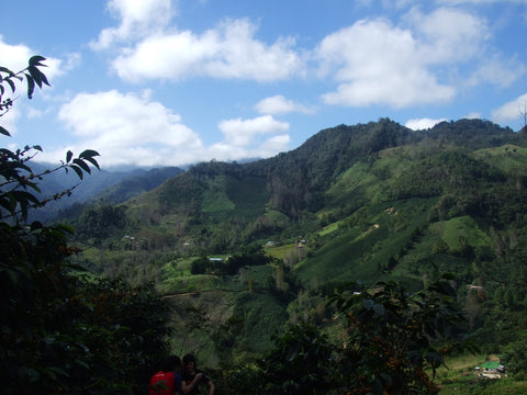 Guatemala – Finca Las Nubes