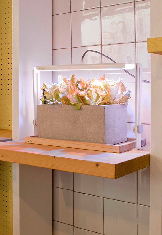 Bulbo Fuorisalone Milano Aprile 2015