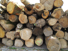 Log piles delivered from FSC Forest