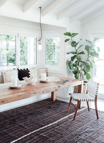 Fiddle Leaf Fig