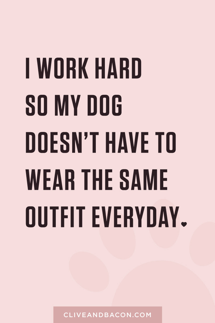 I work hard so my dog doesn't have to wear the same outfit everyday. By Tina Chen, Clive & Bacon