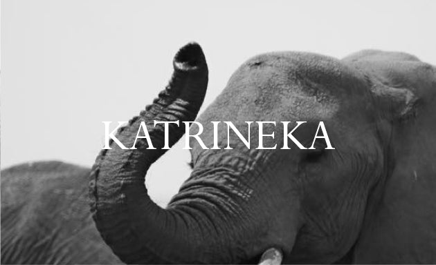 Katrineka