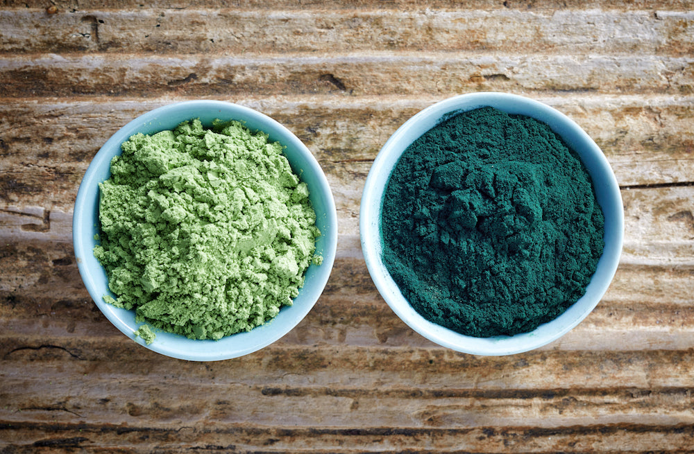 Organic Spirulina Powder | 5Greens Superfoods