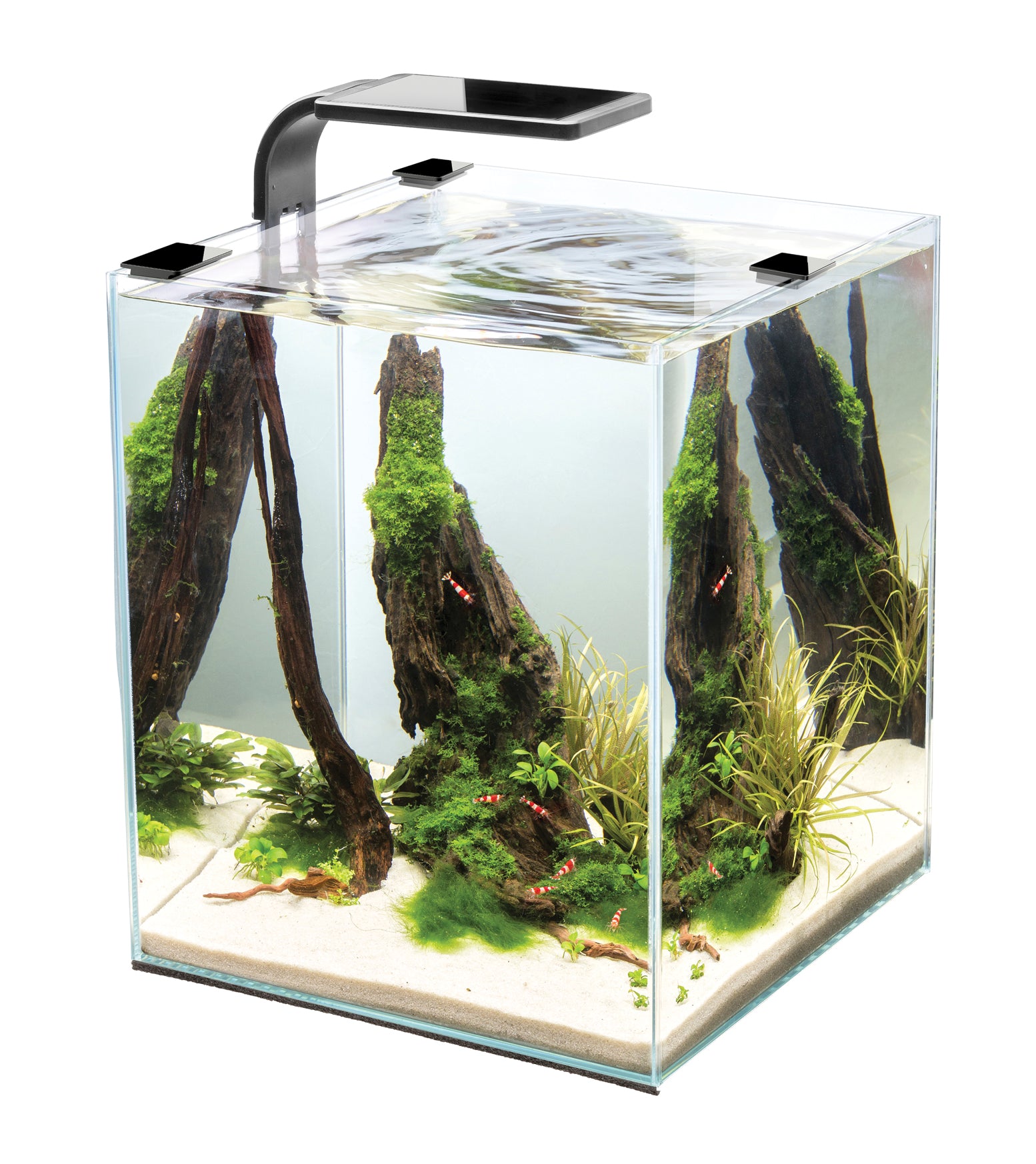 Wijzerplaat Hechting metgezel Microvue Aquarium Kit