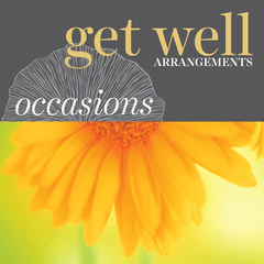 Sweetpea's Toronto Florist - Get Well Flower Arrangements