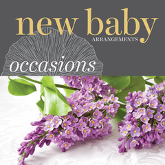 Sweetpea's Toronto Florist - New Baby Flower Arrangements
