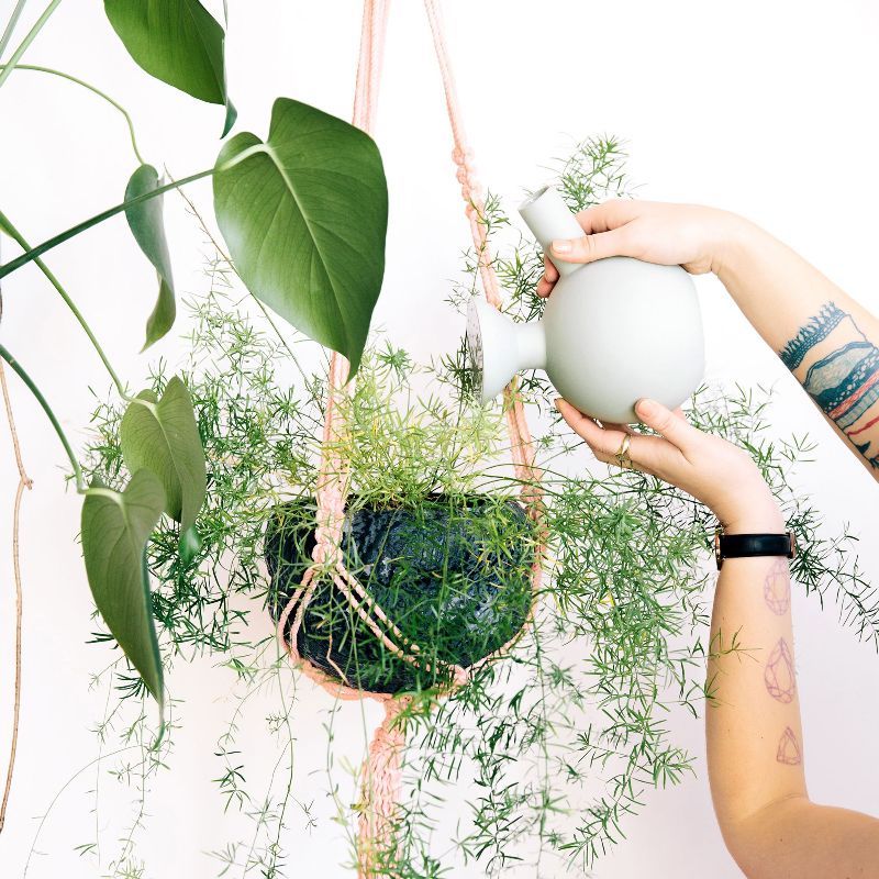 Modern Macrame Plant Hanger Wellness 