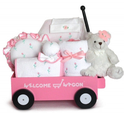Pretty In Pink Baby Girl Gift