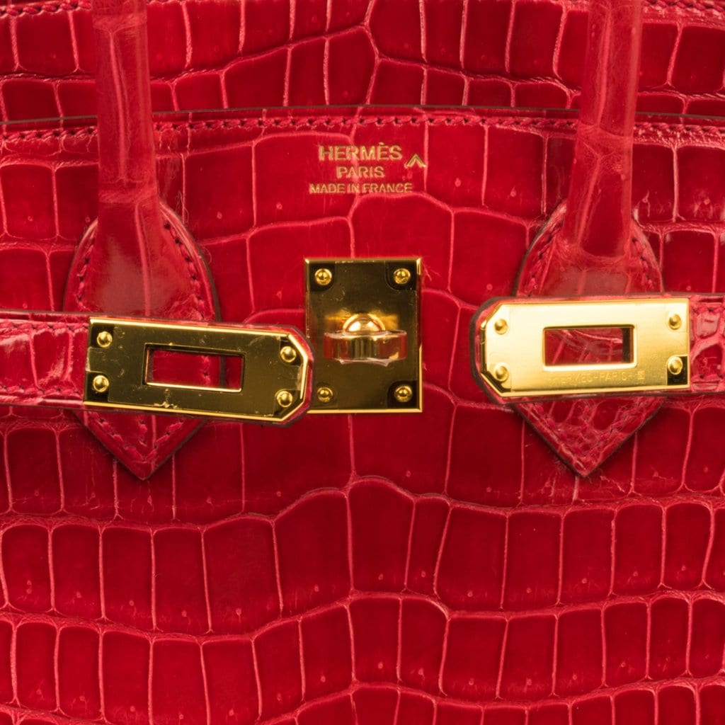 red croc birkin