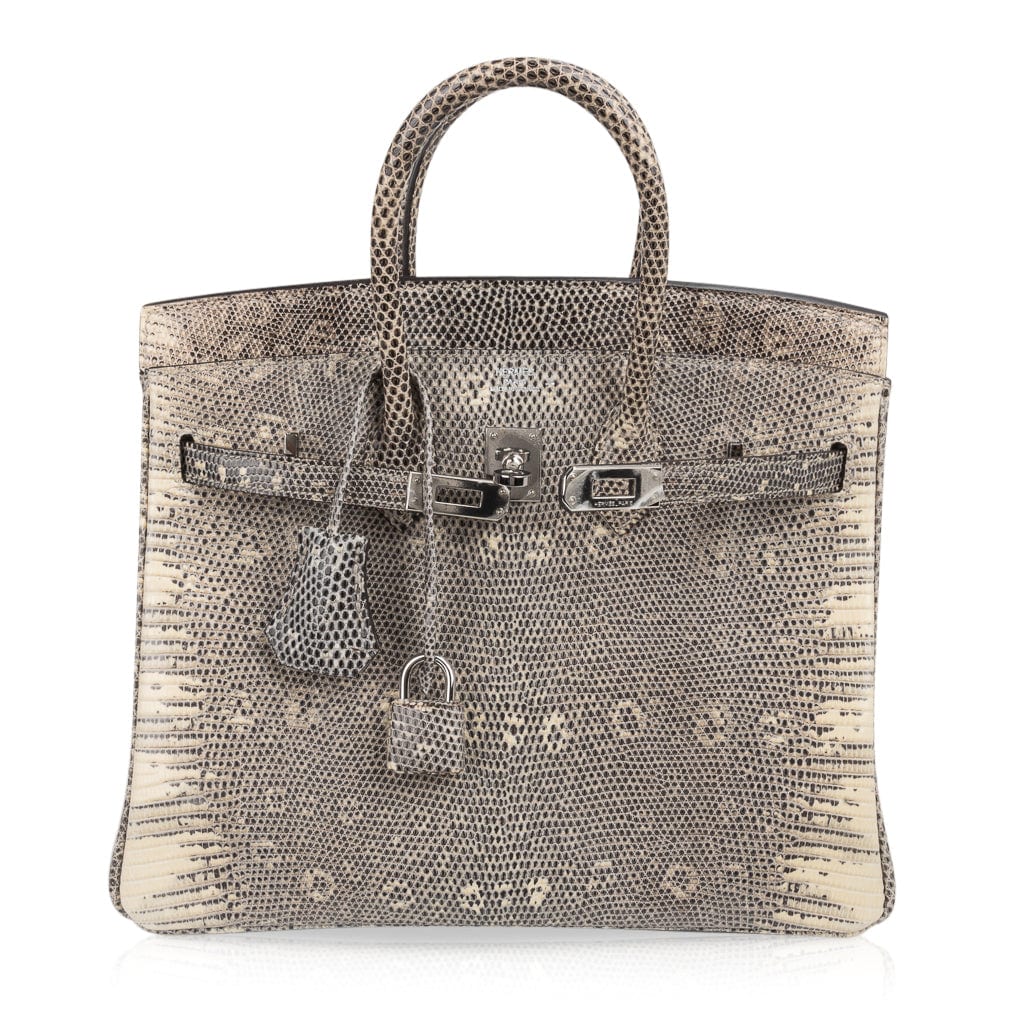 birkin 25 ombre lizard price