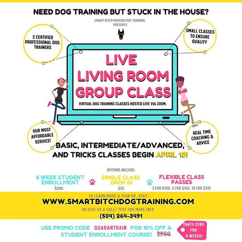 Smart Bitch online dog training