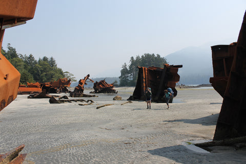 Freighter wreckage at Louie Bay