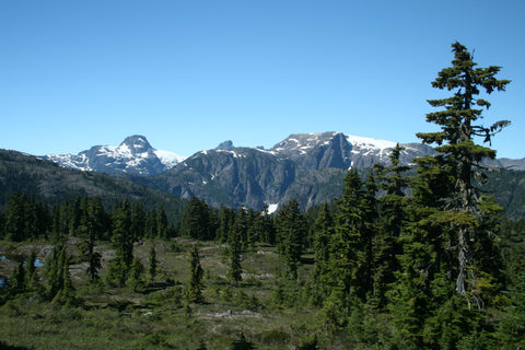 Kookjai Trail Comox Glacier