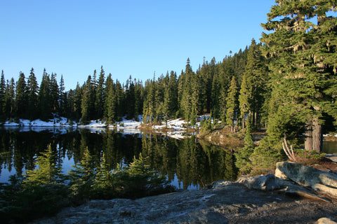 Strathcona Provincial Park Kwai Lake