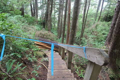 North Coast Trail stairs out at Long Leg Hill